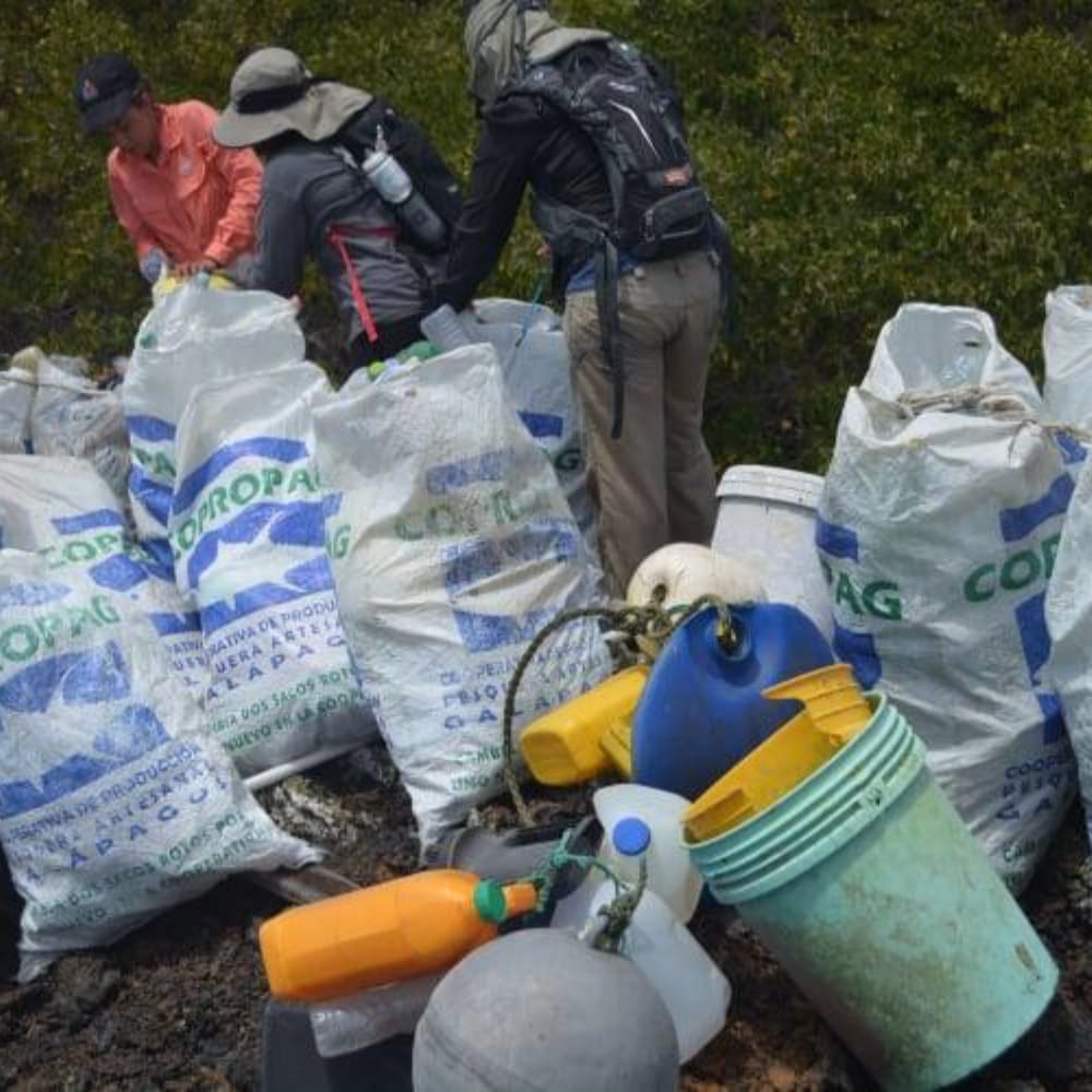 唯一無二の美しい島、ガラパゴス