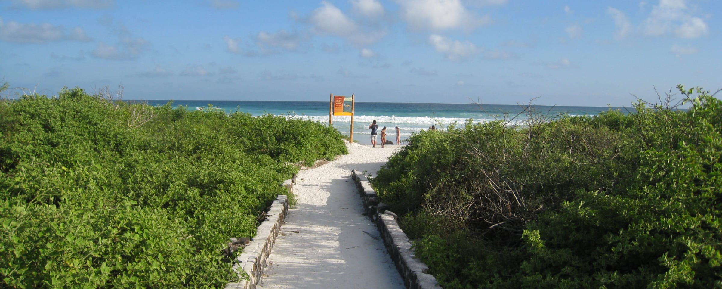 キービジュアル