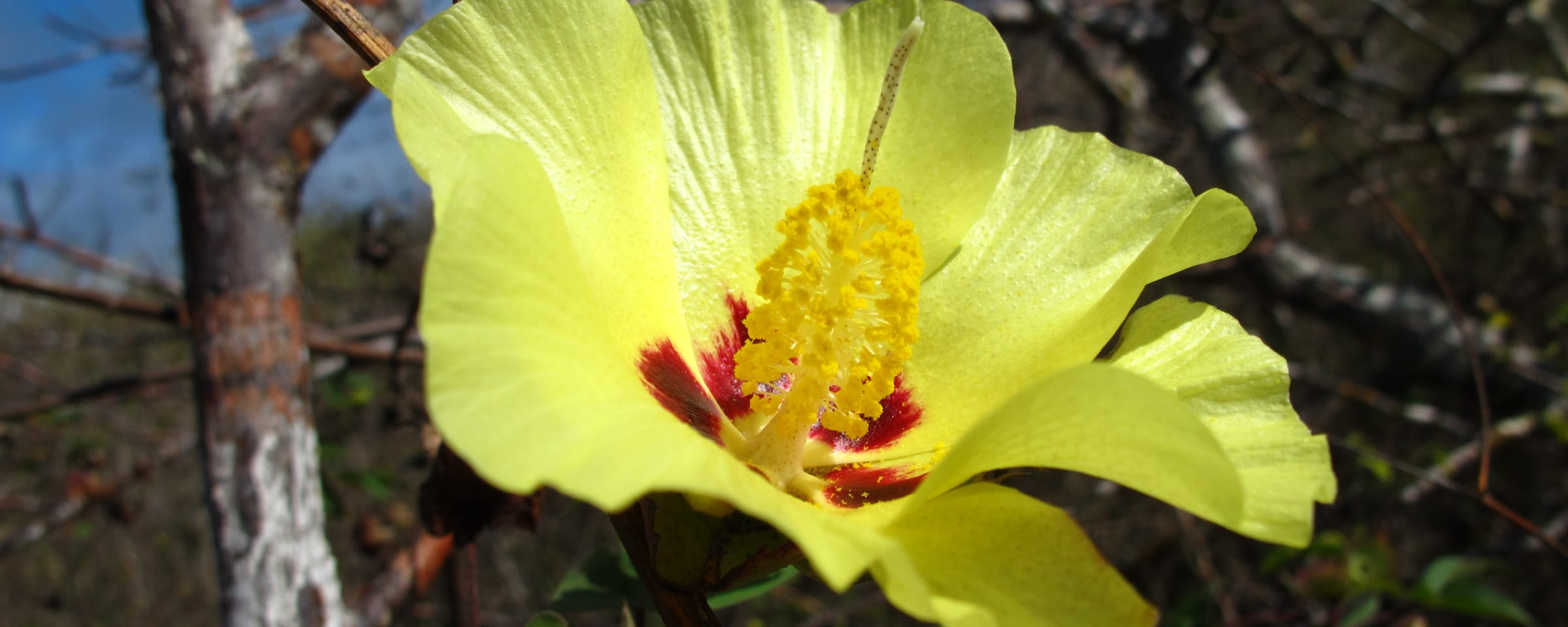 キービジュアル