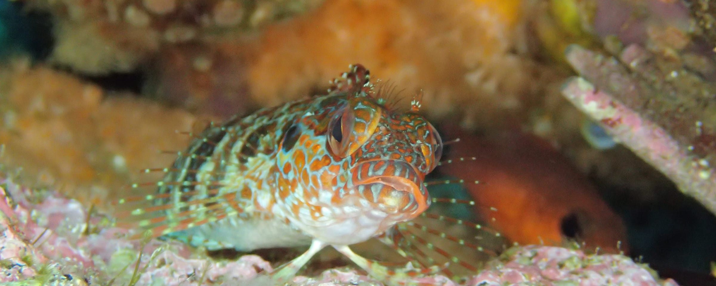 キービジュアル