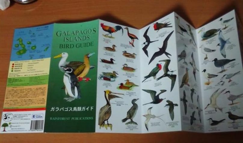 ガラパゴス鳥類ガイド(米国出版社Rainforest Publications)の日本語版