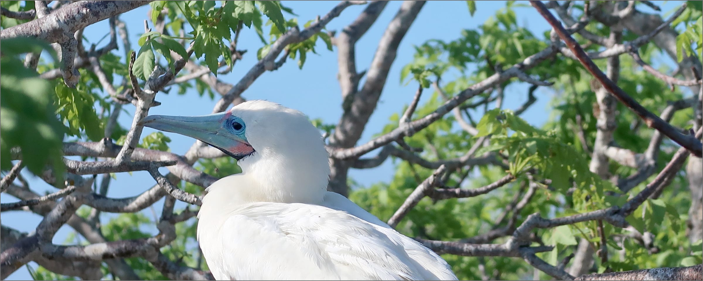 キービジュアル