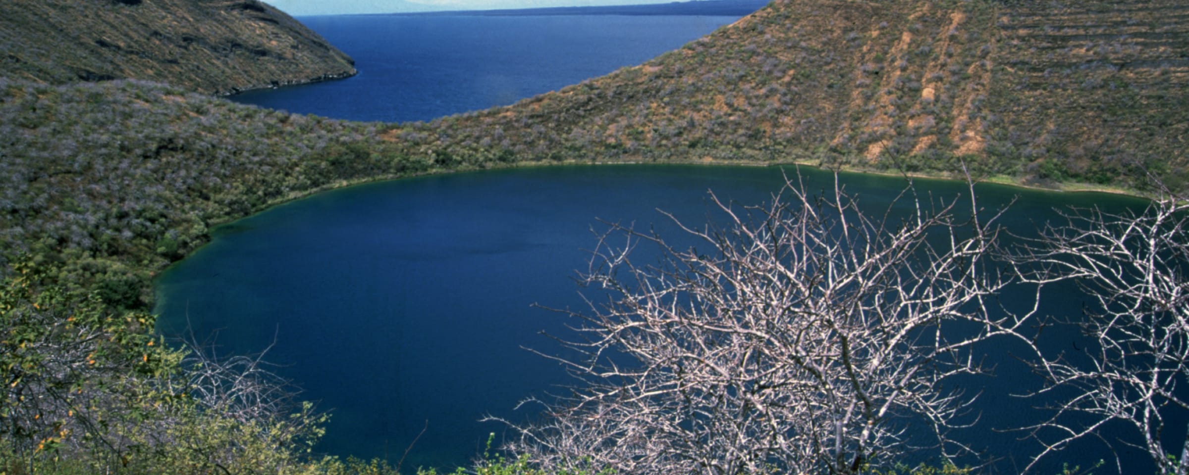 キービジュアル