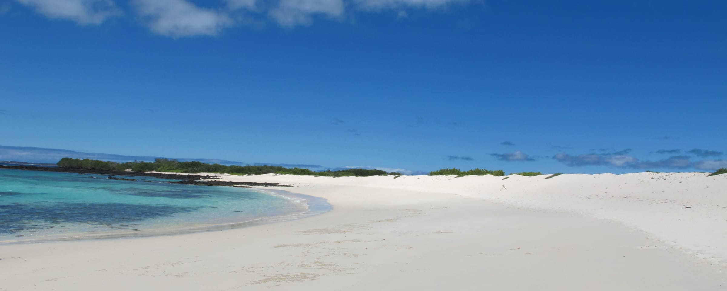 キービジュアル