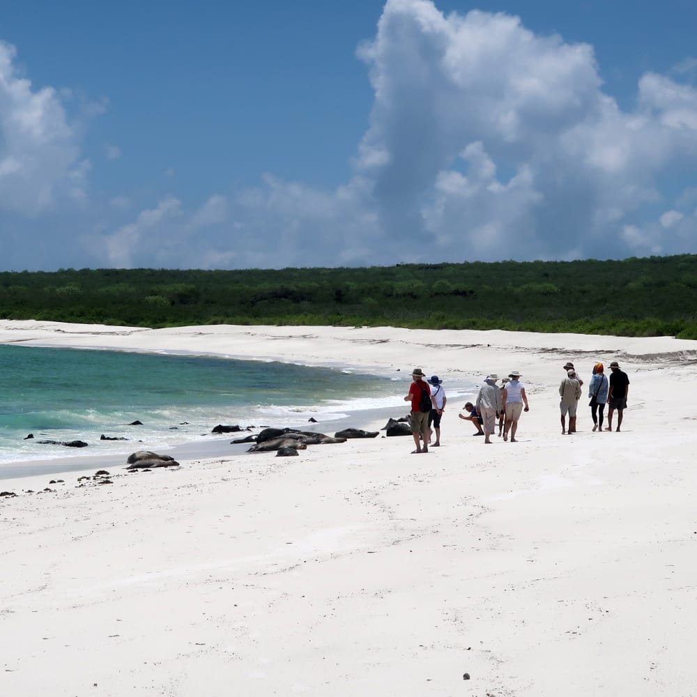 なぜガラパゴス諸島の保全が必要なのか
