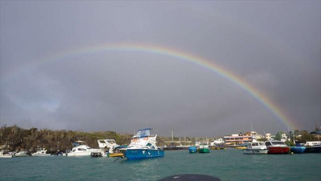 サンタクルス虹 サンタクルス虹