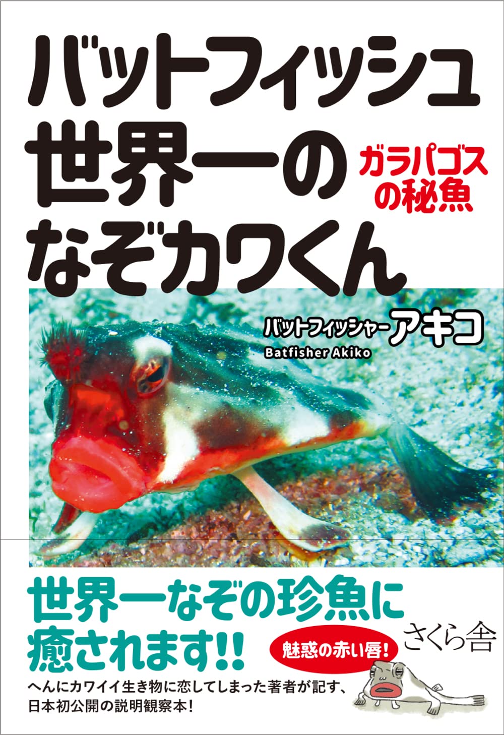 4月5日、日本初のバットフィッシュ本販売開始! 4月5日、日本初のバットフィッシュ本販売開始!
