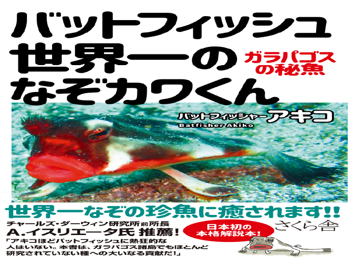 【バットフィッシュ本刊行】 【バットフィッシュ本刊行】
